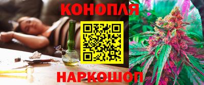 гидра Моздок